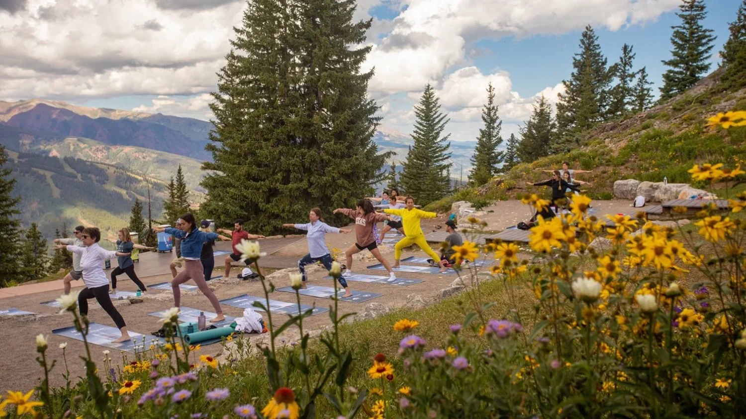 Wellness Activities